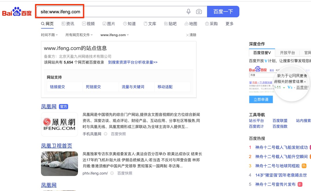 網站收錄情況評估